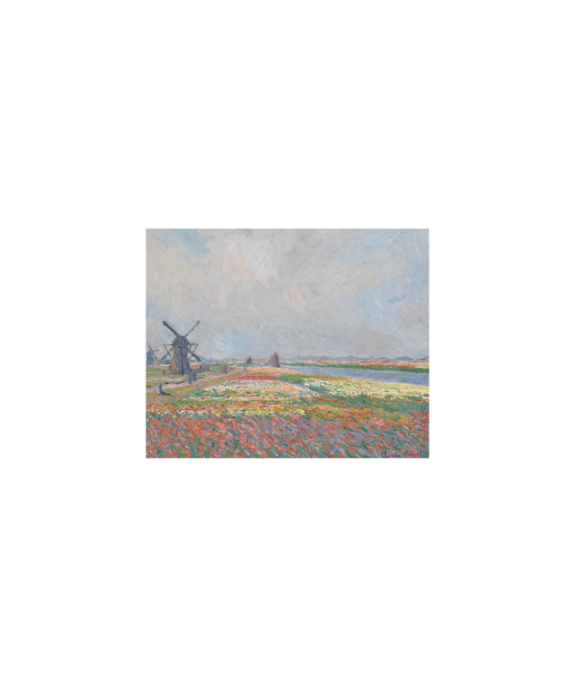 Magneto Monet